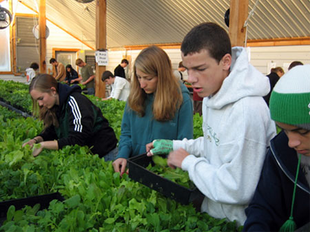 Many departments got involved in the project. For example, the business class crafted the greenhouse’s business plan. The physics class studied alternative energy and outfitted the greenhouse with solar panels to power the fans, refrigerator and computers. The Spanish class studied the culture that cultivated the heirloom black beans; and the health class experiments with recipes using whole food the garden.