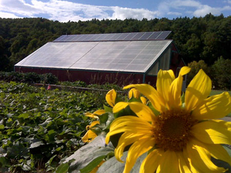 The plants at the greenhouse are grown, in part, from soil derived from the composted food scraps recovered from the cafeteria, thereby closing the nutrient loop within the city limits of Montpelier.