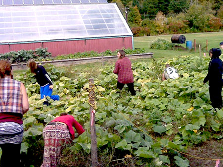 The Center for Sustainable Systems (CSS), an organization dedicated to bringing relevance and rigor to high school education in Central Vermont, uses Sabo’s food system as the vehicle to deliver purposeful, experiential lessons across a variety of academic disciplines.