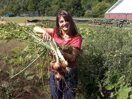 Through CSS, service learning-based projects that have been developed by certified teachers in their respective disciplines will be carried out in fall 2012 at a neighboring farm in Montpelier. A trained farm manager and program director will provide technical support and logistical coordination.