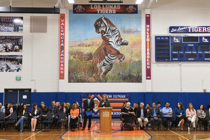 2019 NM tiger mural