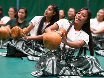 Aiea 2017 student performance