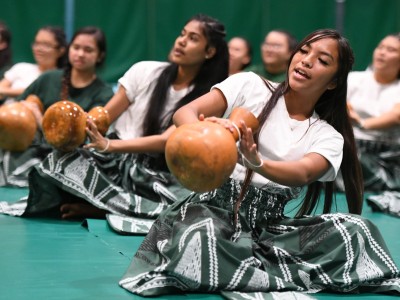 Aiea 2017 student performance