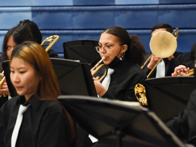 Ansonia band