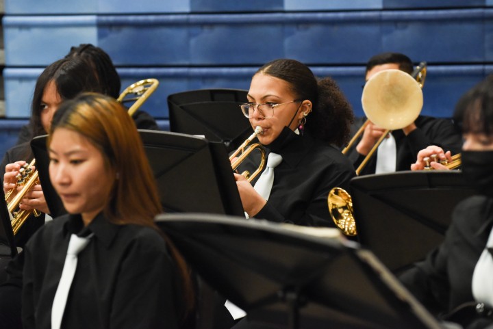 Ansonia band