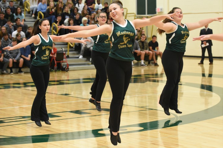 Brick 2017 Mustangs dance team