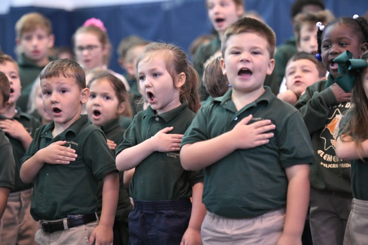 Davies students pledge of allegiance