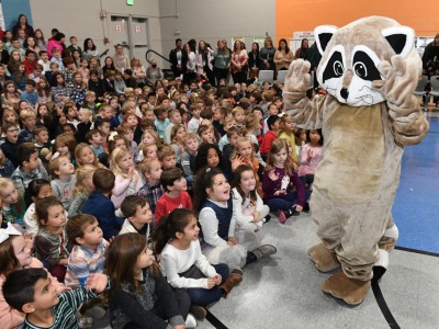 Dogwood Riley Reading Raccoon