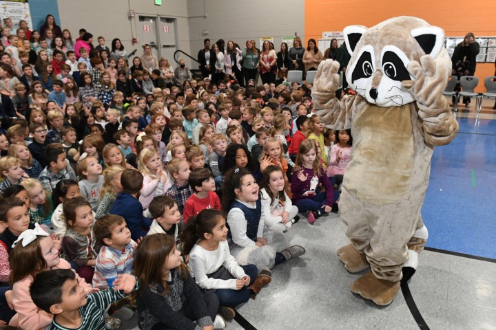 Dogwood Riley Reading Raccoon