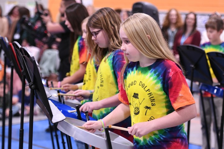 Dogwood steel band