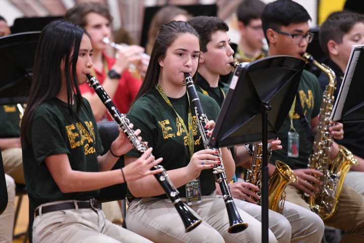 Lafayette 2017 Edgar Martin band 2