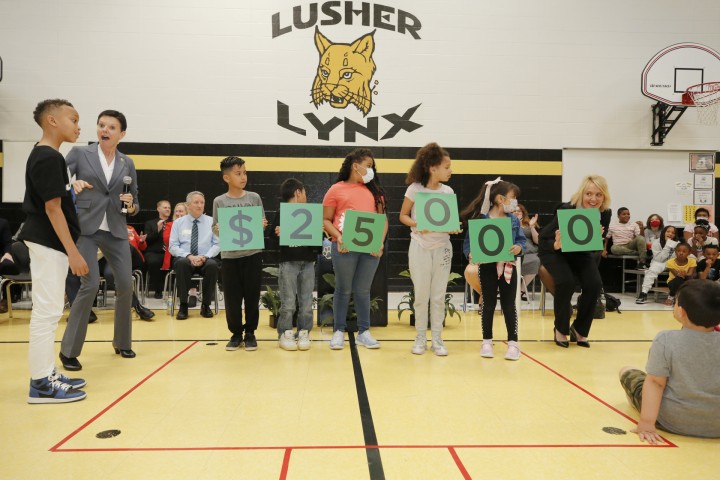 Lusher 25000