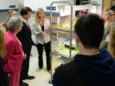 Red Mountain HS lab