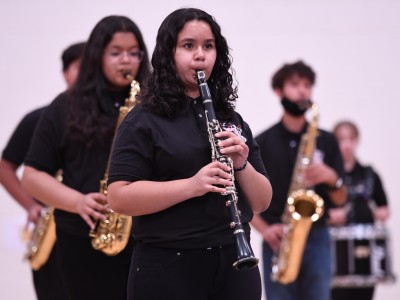 VVLA band