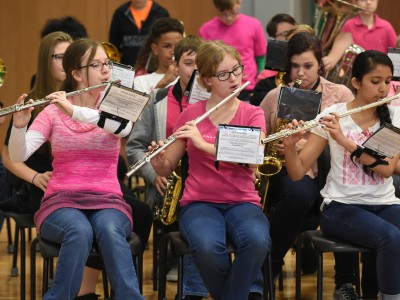 Winfield 2017 band