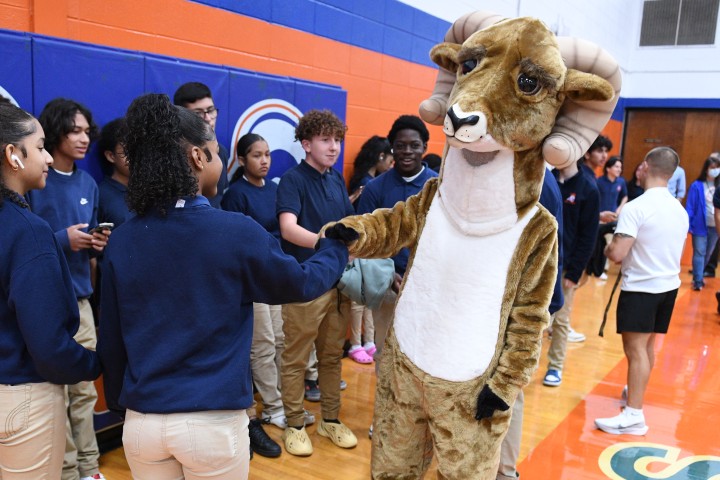 lhs virginia fasulo mascot