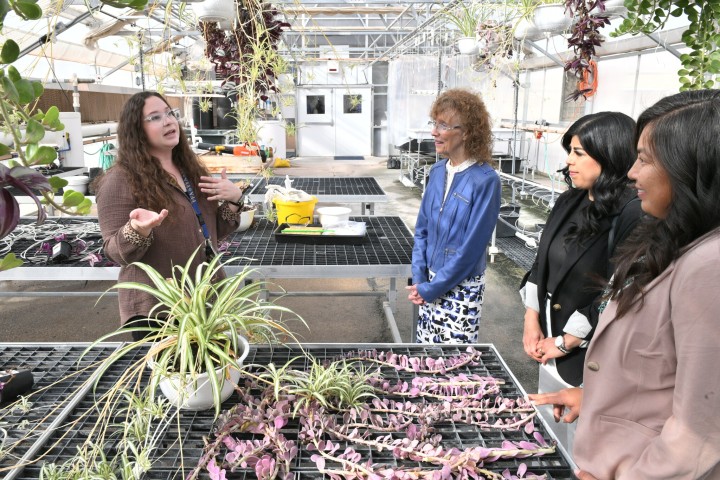 lhs montana hagler greenhouse