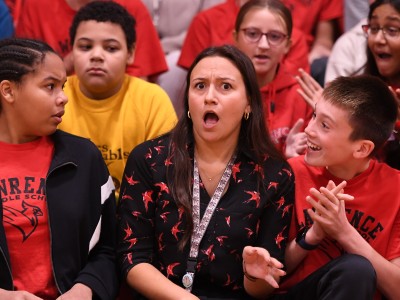 lms capritti reaction