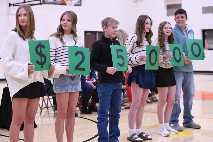 lms garrid halsey 25K