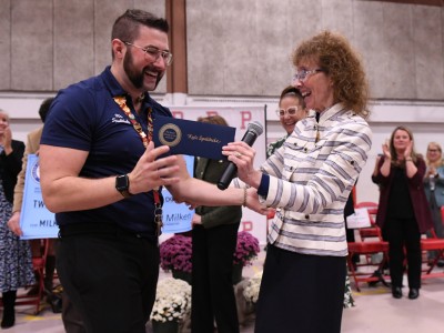 pms spaltholz jane foley