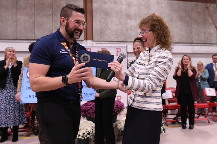 pms spaltholz jane foley